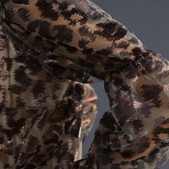 NWT Anthropologie Sheer Leopard Top - Picture 4 of 16